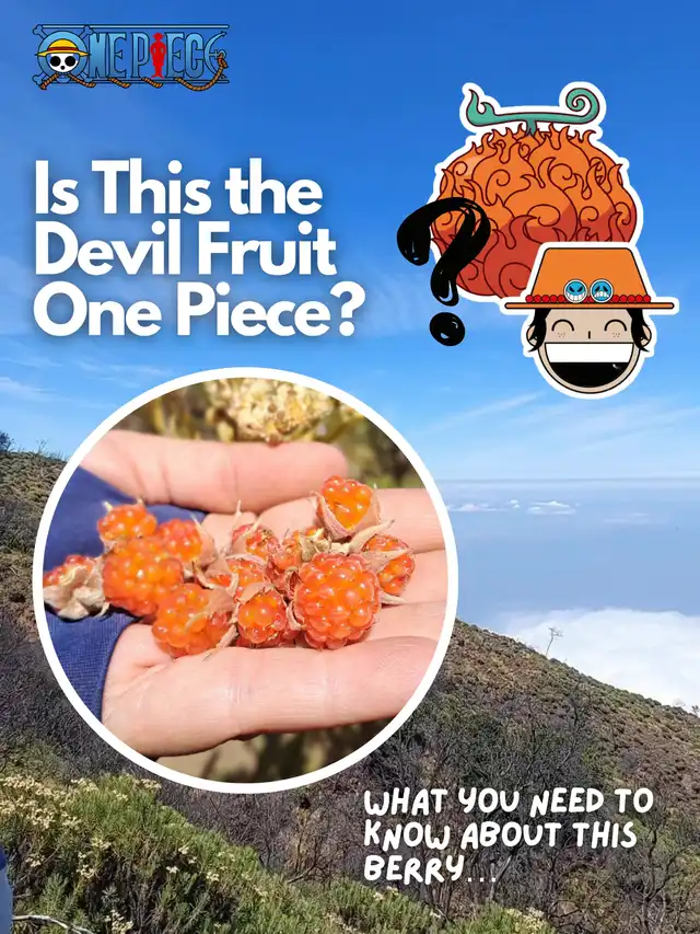 Nemu Devil Fruit One Piece Saat Hiking?!